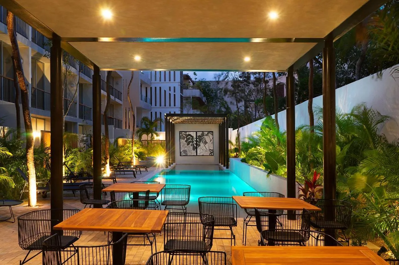 酒店 Studio Amazing For 4 Casa Azul 图卢姆