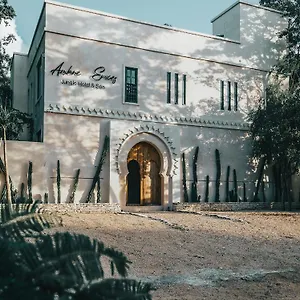 Ambre & Epices Jungle & Hotel